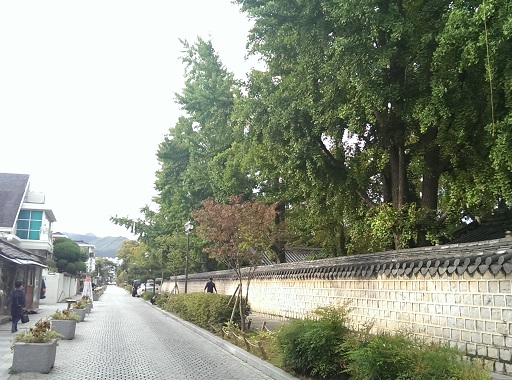 a0140305_0624.jpg