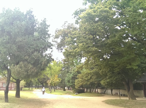 a0140305_071536.jpg