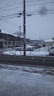 d0005807_7374123.jpg