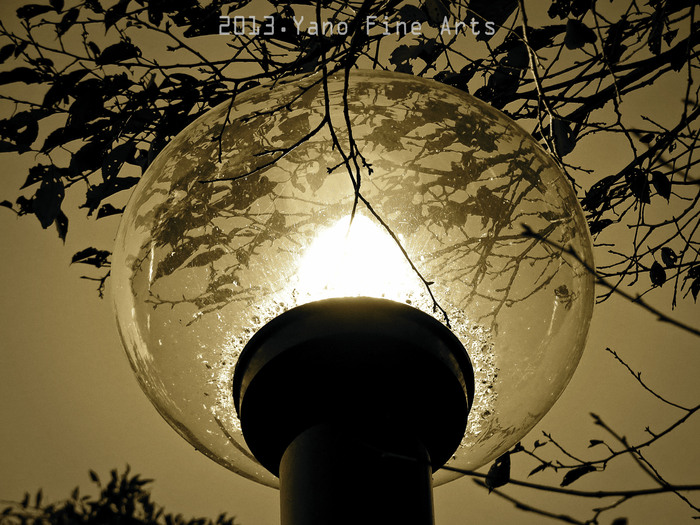 b0147808_188287.jpg