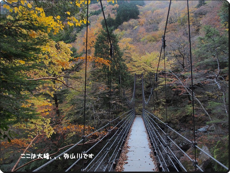 2013/11/9　再訪、弥山・双門コース　(秋）_f0052108_1559584.jpg