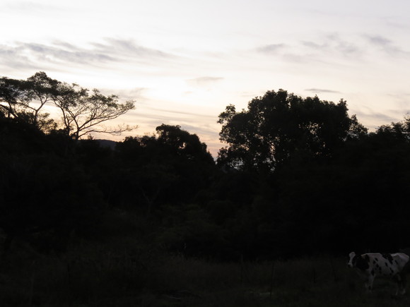 d0237309_2140099.jpg