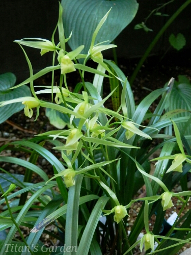 b0099813_074350.jpg