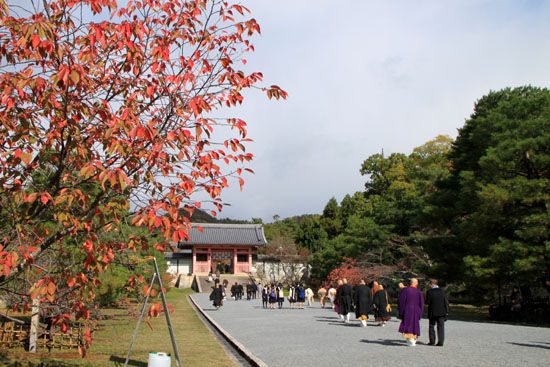 御室仁和寺 13紅葉だより10_e0048413_22314143.jpg