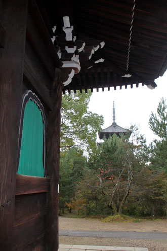 御室仁和寺 13紅葉だより10_e0048413_22341176.jpg