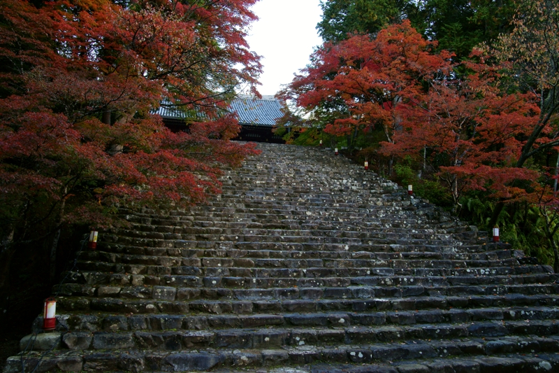 神護寺、そして_e0177413_1012784.jpg