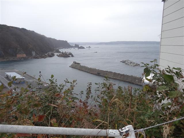 a0127015_9431390.jpg