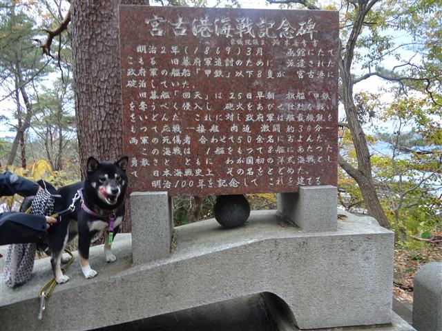 a0127015_95745100.jpg