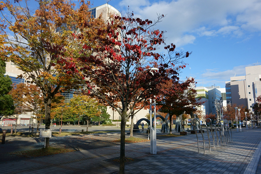 b0284519_21525555.jpg