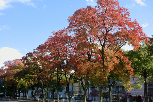 b0284519_2152879.jpg