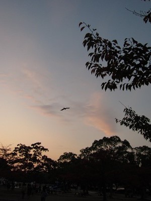 a0172222_858418.jpg