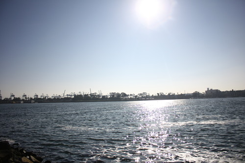 Long　Beach_b0255523_328792.jpg