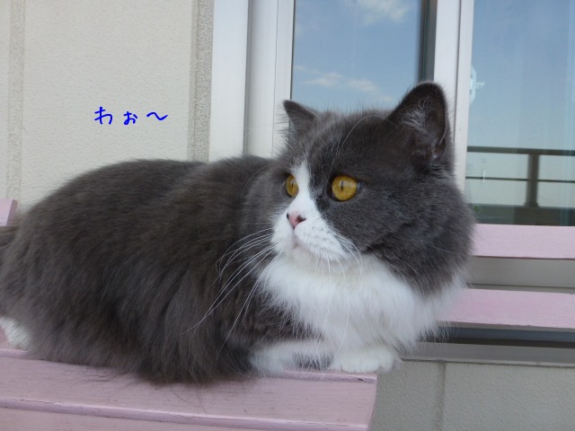冬になる前に_e0237625_17445582.jpg