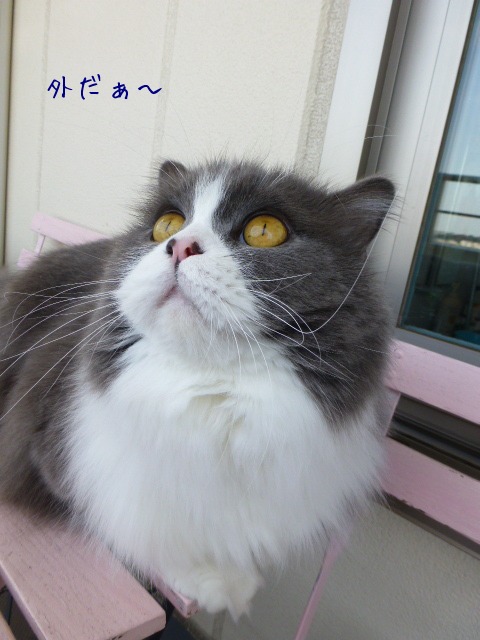 冬になる前に_e0237625_1803842.jpg