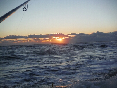 a0284729_21581674.jpg