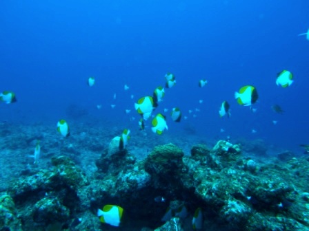 a0189838_17252831.jpg