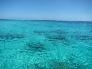 f0233340_0185580.jpg
