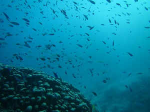 f0233340_0205877.jpg