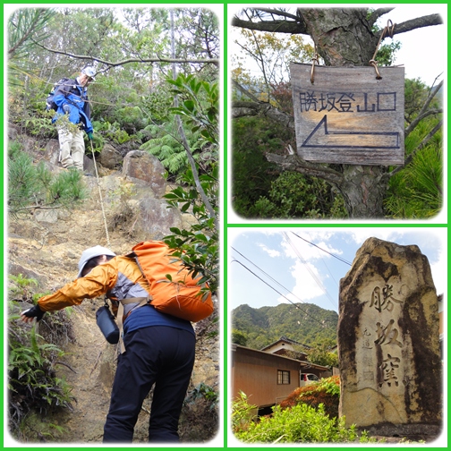 西目山~右田ヶ岳_e0164643_1946247.jpg