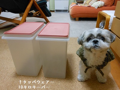 c0261346_204197.jpg