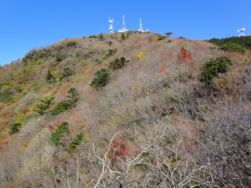 c0179351_20354.jpg
