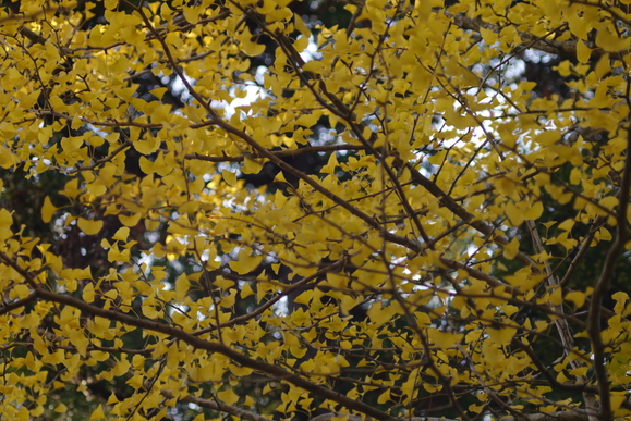 f0305051_99108.jpg