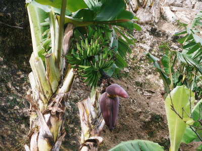 c0180460_133020.jpg