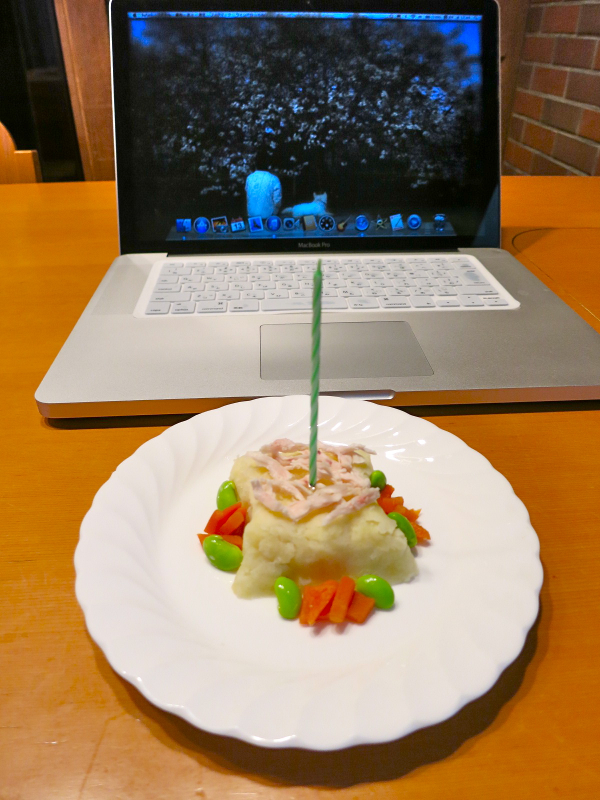 ブログ開始一周年ですっ!_c0260460_21232327.jpg