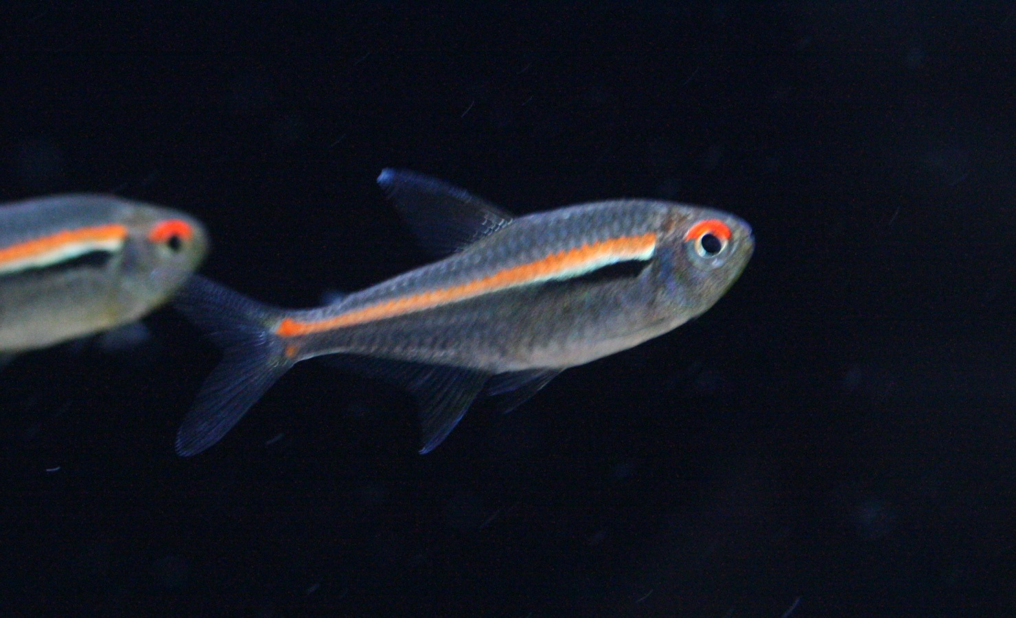 a0162263_2224351.jpg