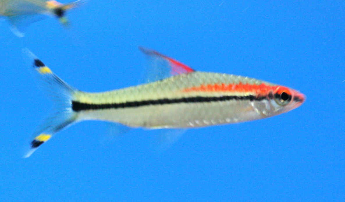 a0162263_2262874.jpg