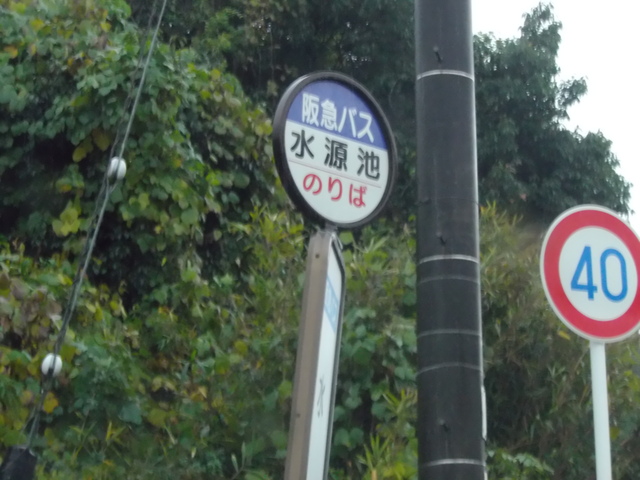 c0001670_2016547.jpg