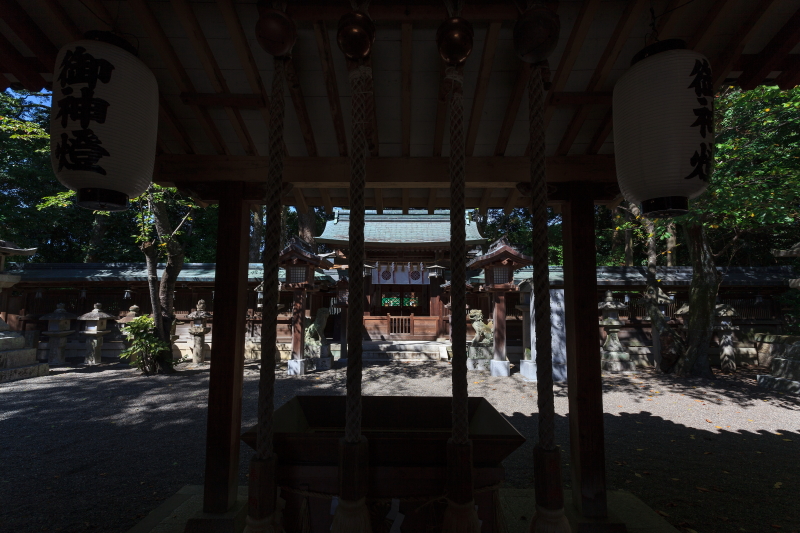 国宝割拝殿　桜井神社_a0314571_212529.jpg