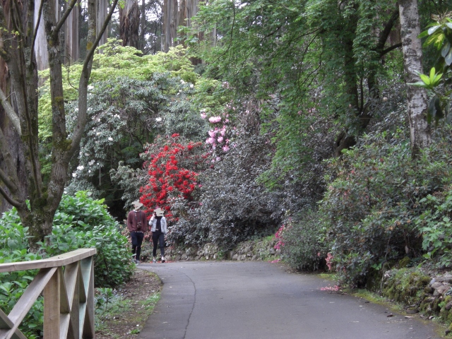 b0095671_21533621.jpg