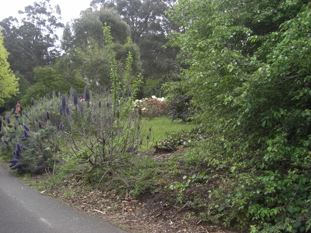 b0095671_21542410.jpg