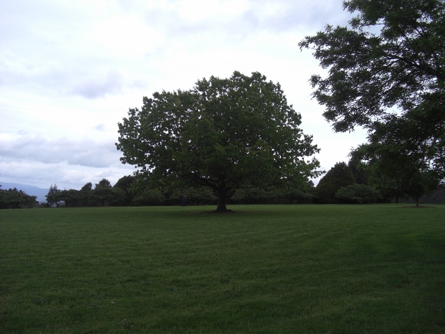 b0095671_2157111.jpg