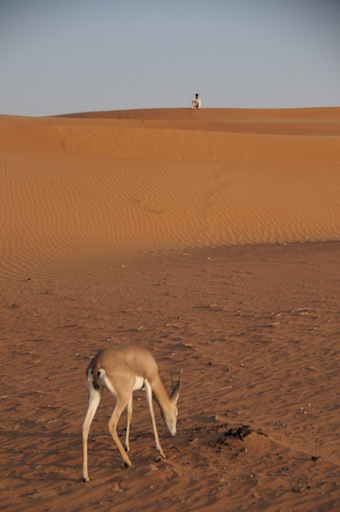 e0066474_2023593.jpg