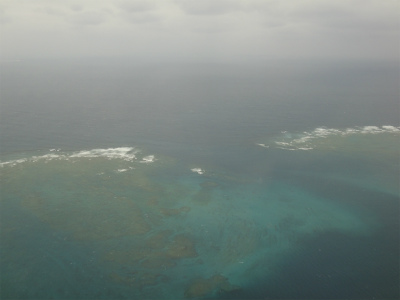 d0182075_5425192.jpg
