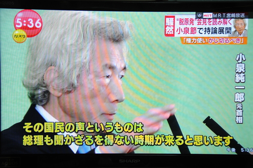 ＜毎日世論調査＞小泉元首相の原発ゼロ「賛同する」５５％_a0043276_10223752.jpg