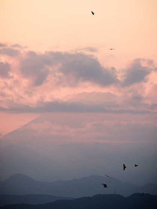 湘南オフ~夕刻の稲村ケ崎から~_a0161380_8492818.jpg