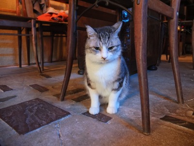 奥の席_a0180681_17492691.jpg