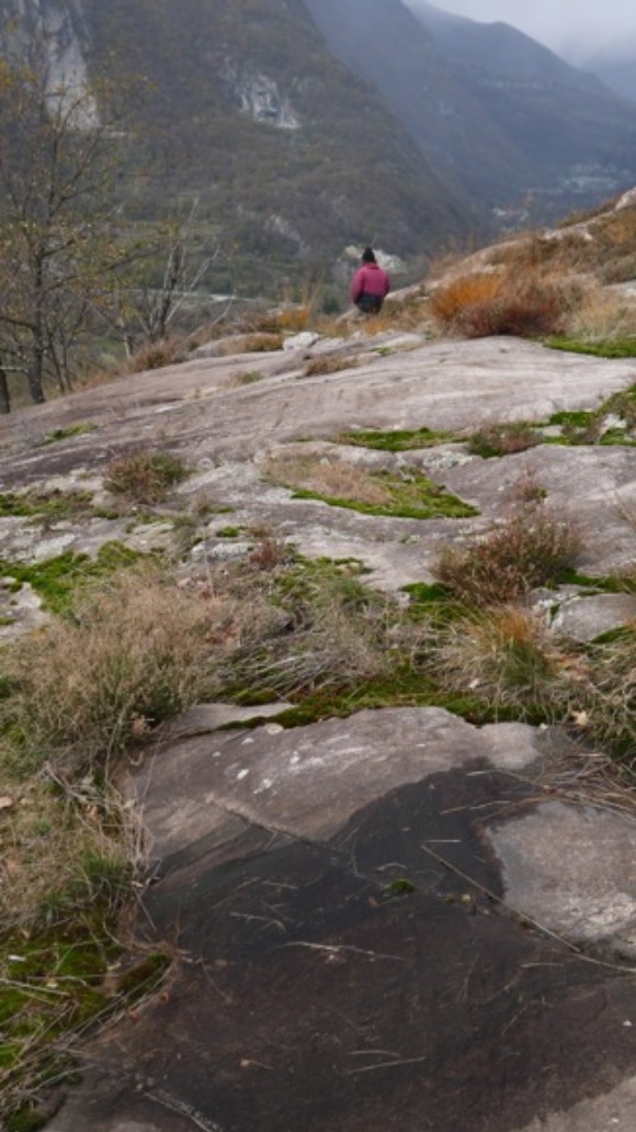 a0278382_4283277.jpg
