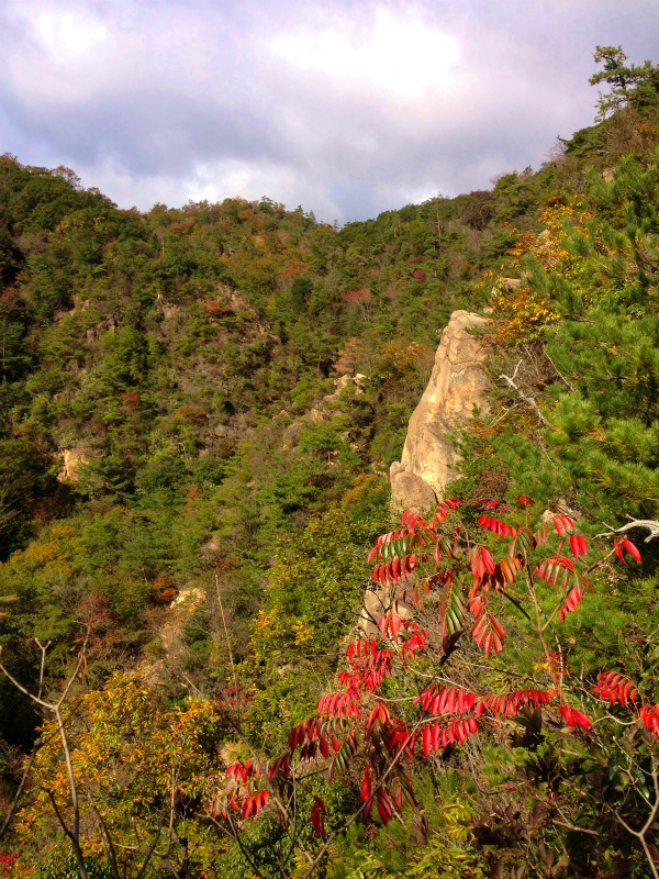 2013/11/13 Scrambling and Running in 荒地山_b0220886_12301950.jpg