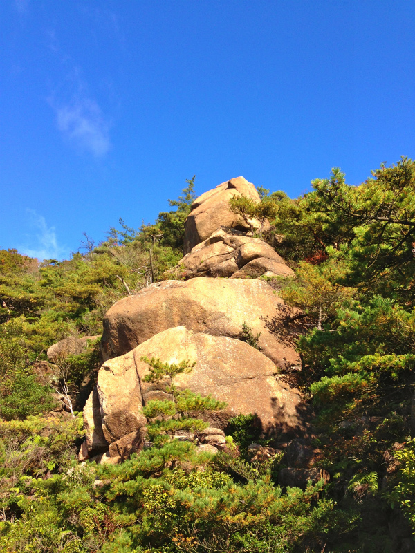 2013/11/13 Scrambling and Running in 荒地山_b0220886_12325723.jpg