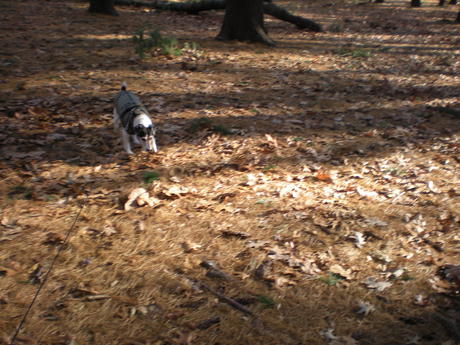 c0253487_0441567.jpg