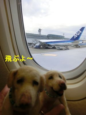 空の旅総括_e0222588_15492190.jpg