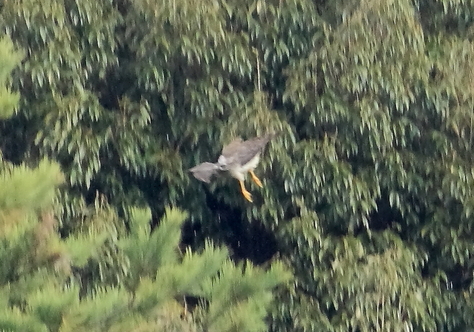 e0123889_23163139.jpg