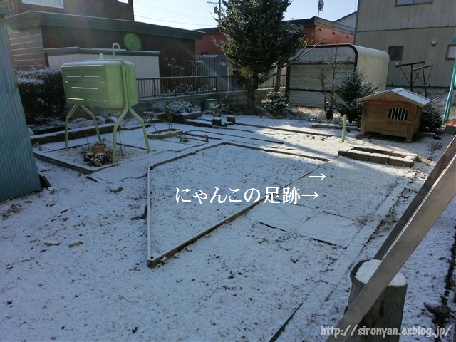 初積雪、張り紙、爪研ぎ猫ちぐら、そしてまた壁に穴！_a0159490_1621174.jpg