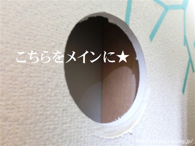 a0159490_16213923.jpg
