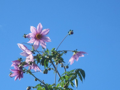 c0078592_10372212.jpg