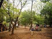 a0118993_23264618.jpg